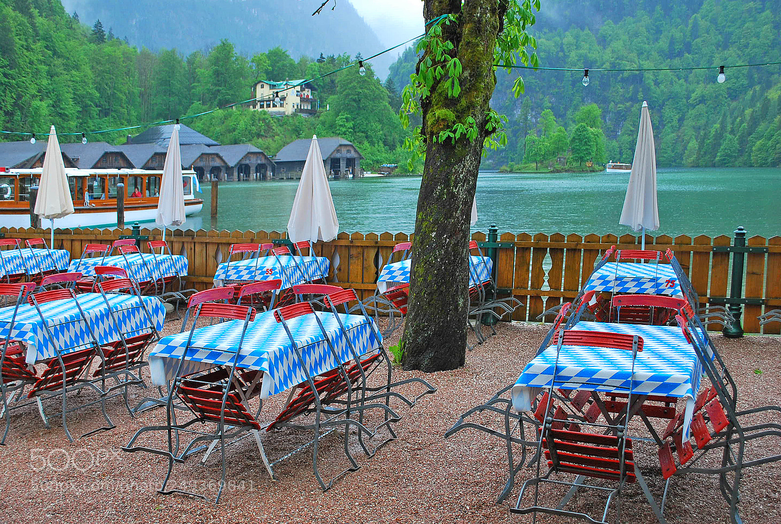 Nikon D60 sample photo. A rainy day at photography