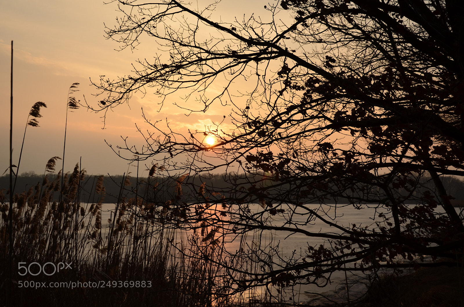 Nikon D5100 sample photo. 300 photography