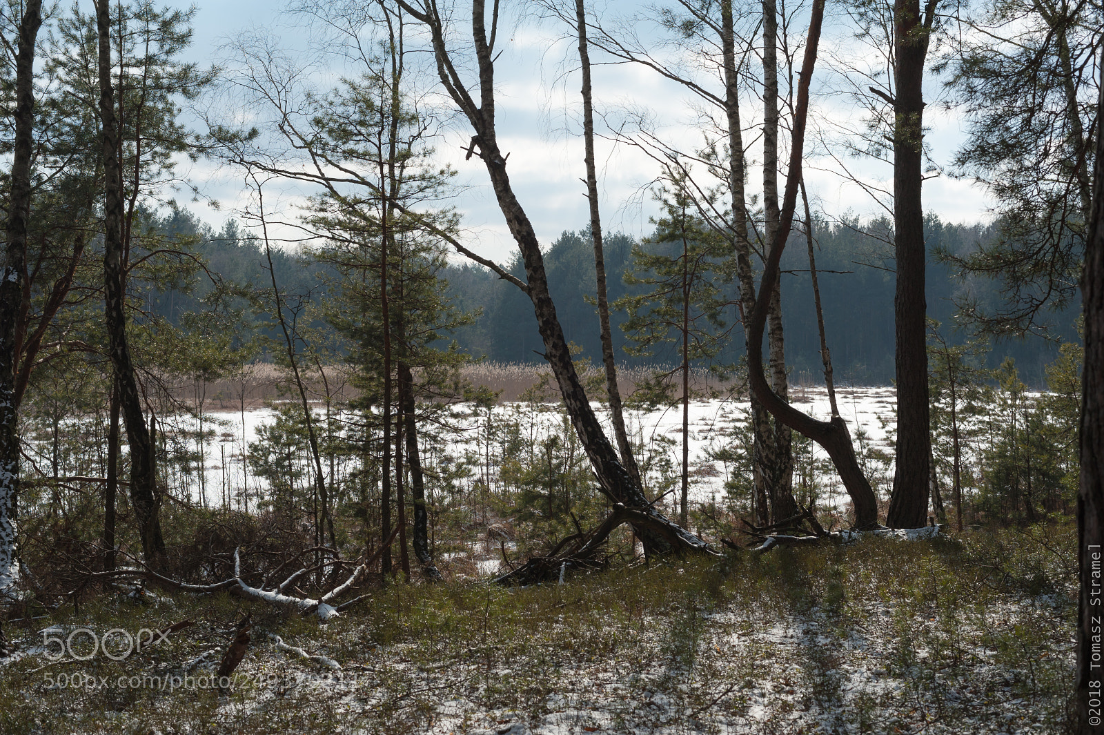 Nikon D700 sample photo. A return to the photography