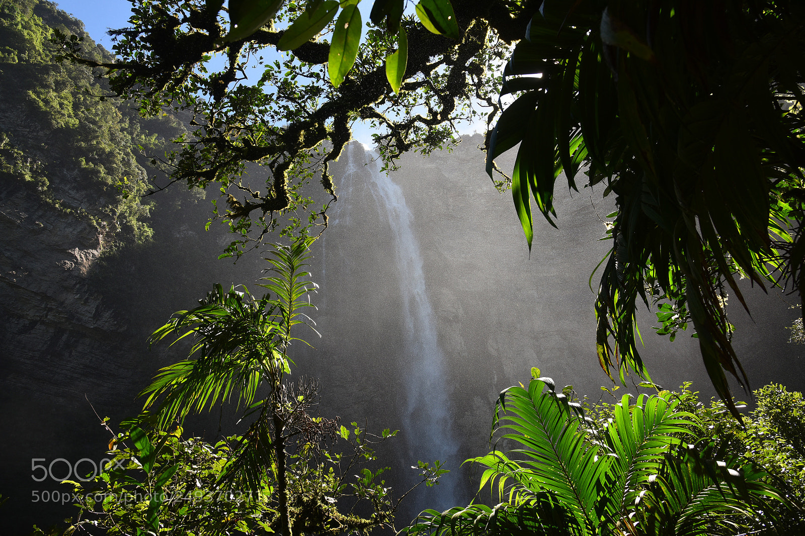 Nikon D810 sample photo. Gocta photography