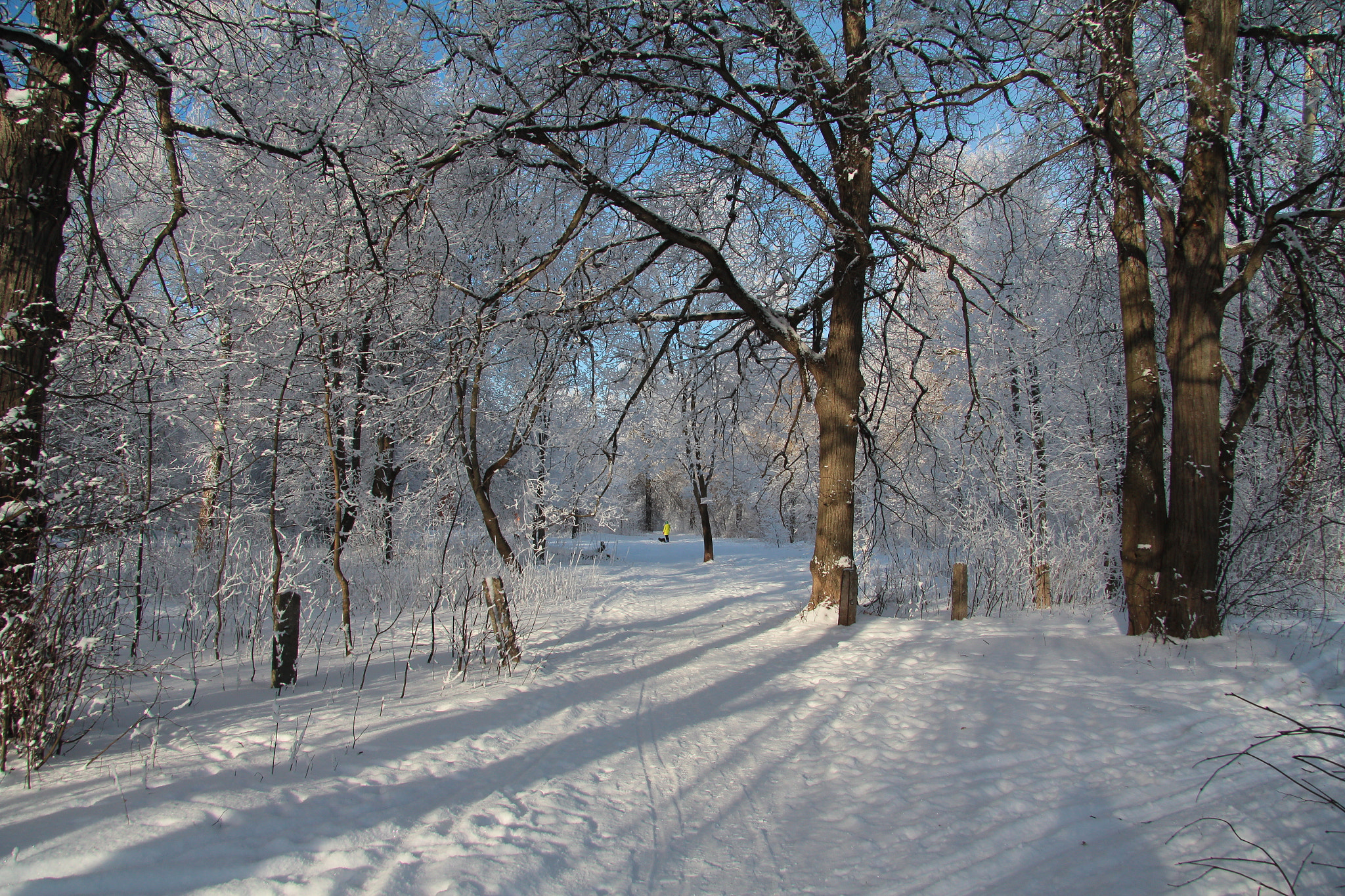 Canon EF-S 17-85mm F4-5.6 IS USM sample photo. Winter alley photography