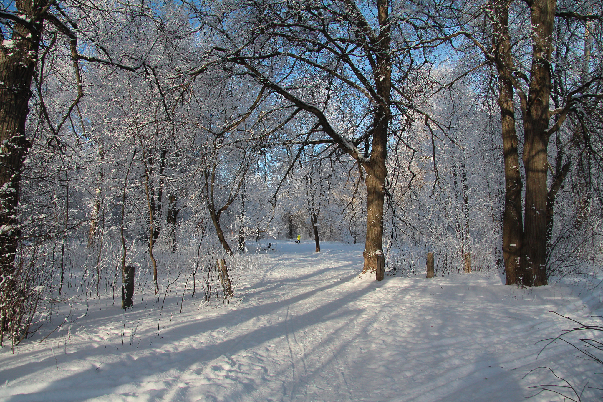 Canon EOS 60D + Canon EF-S 17-85mm F4-5.6 IS USM sample photo. Winter alley photography