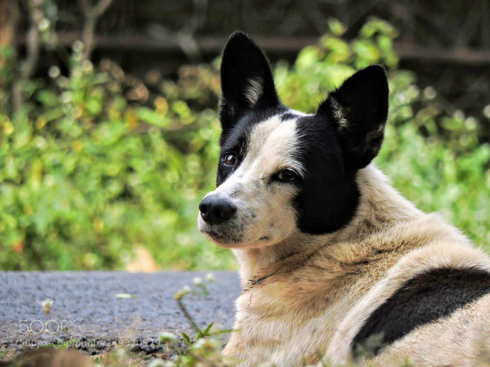 Nikon Coolpix P530 sample photo. ??? photography