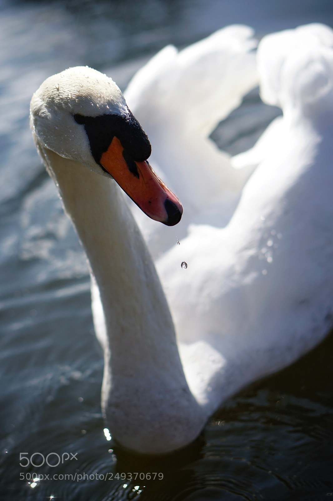 Sony a6000 sample photo. Beauty photography