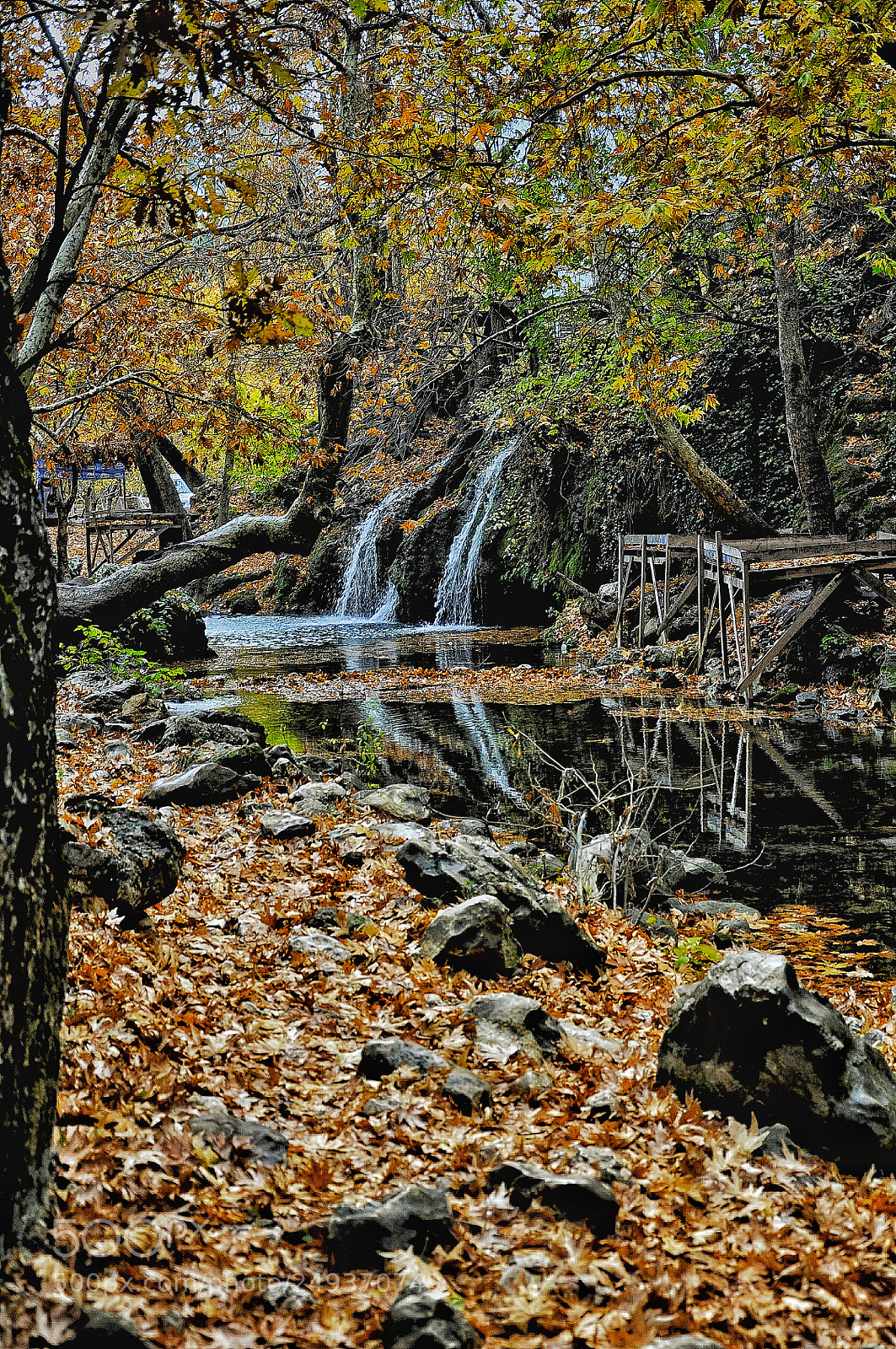 Nikon D90 sample photo. Untitled photography
