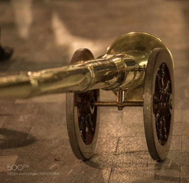 Nikon D850 sample photo. Bocina de burla. t photography