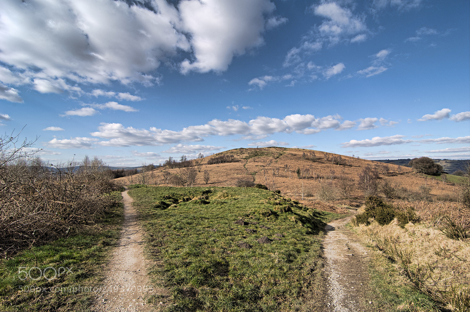 Nikon D2X sample photo. Which path ? photography