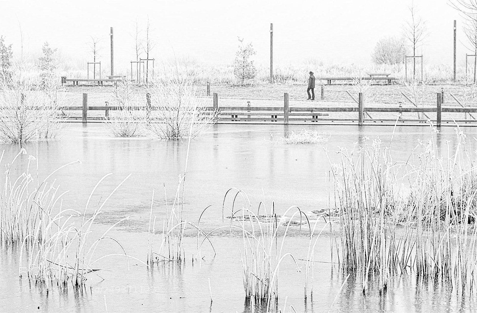 Canon EOS 500D (EOS Rebel T1i / EOS Kiss X3) sample photo. Waterfront promenade photography