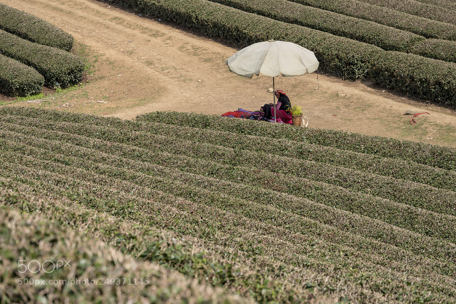 Pentax K-1 sample photo. Aaa photography