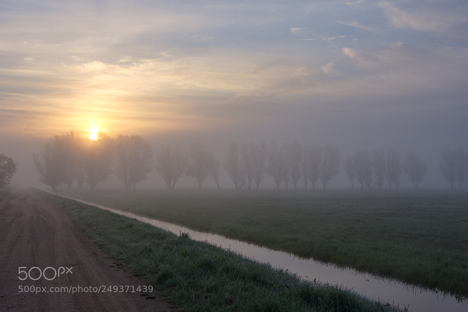 Nikon D7200 sample photo. Sunrise mist photography