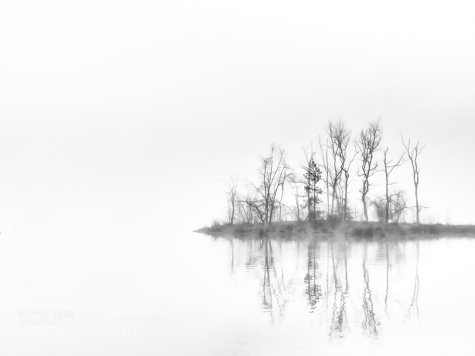 Olympus OM-D E-M1 Mark II sample photo. Tranquility photography
