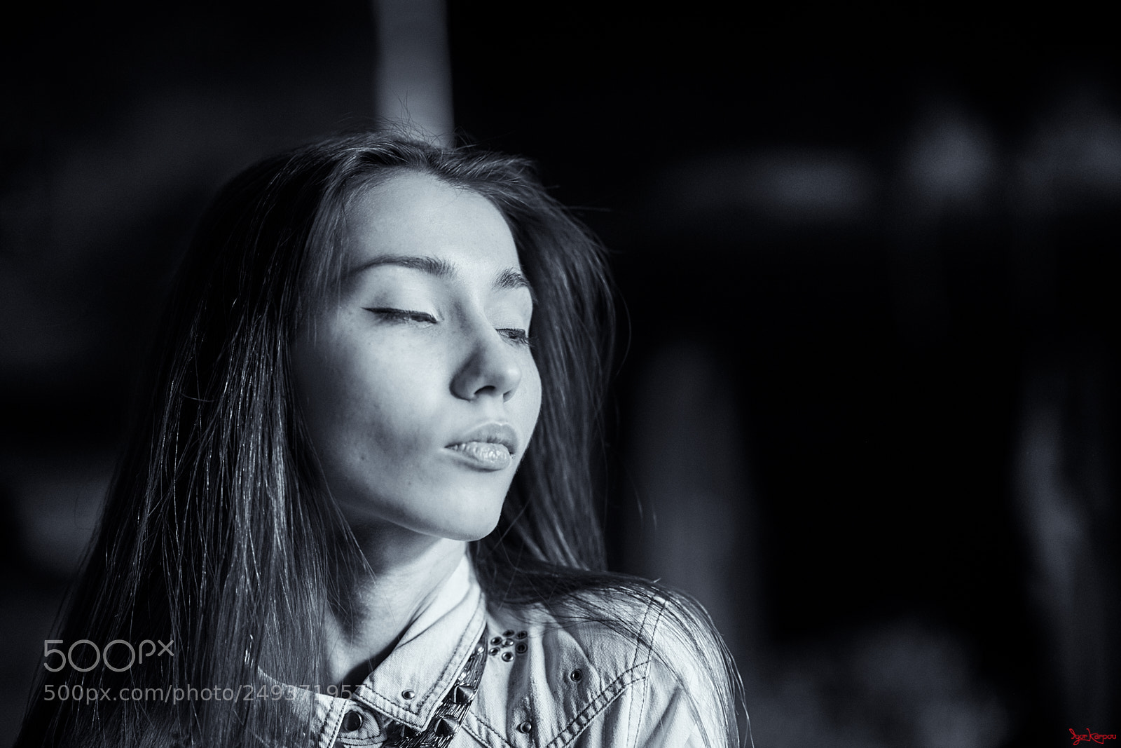 Nikon D850 sample photo. Haughtily photography