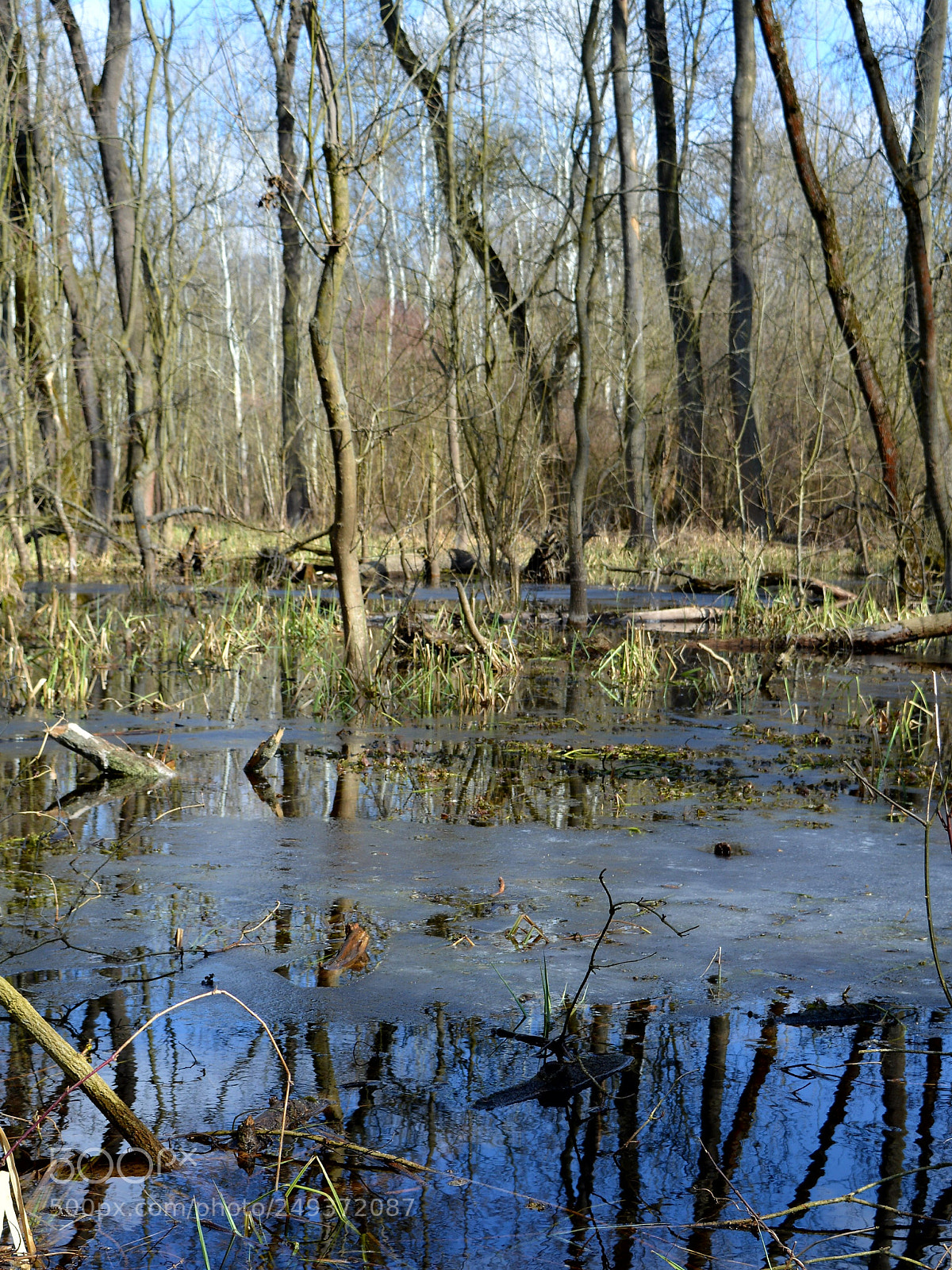 Nikon D5200 sample photo. Untitled photography