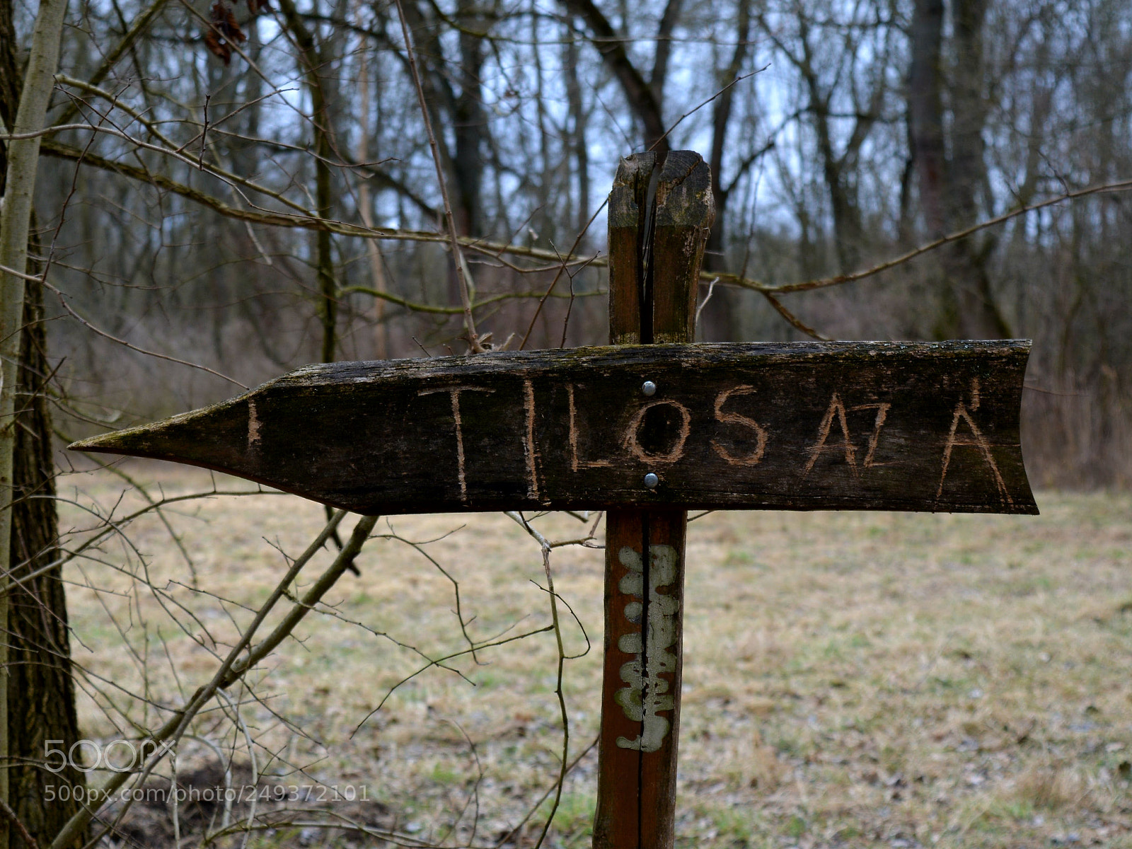 Nikon D5200 sample photo. Untitled photography