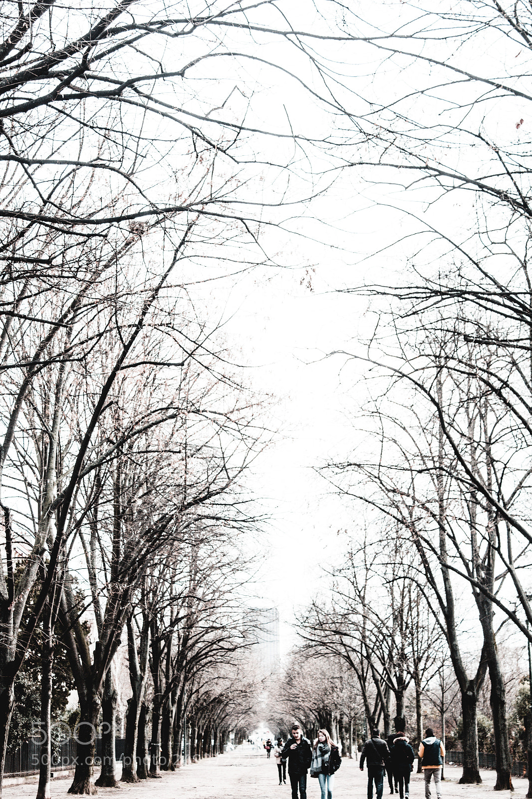 Canon EOS 550D (EOS Rebel T2i / EOS Kiss X4) sample photo. Strolling along the park photography