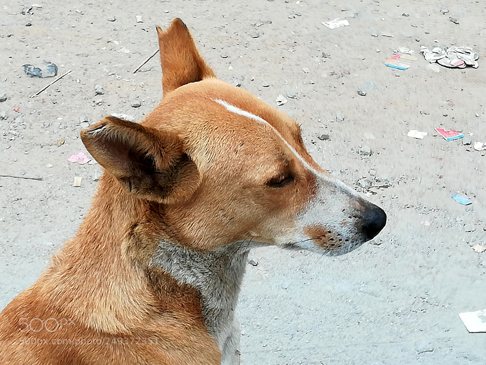 HUAWEI honor 6x sample photo. Dig photography