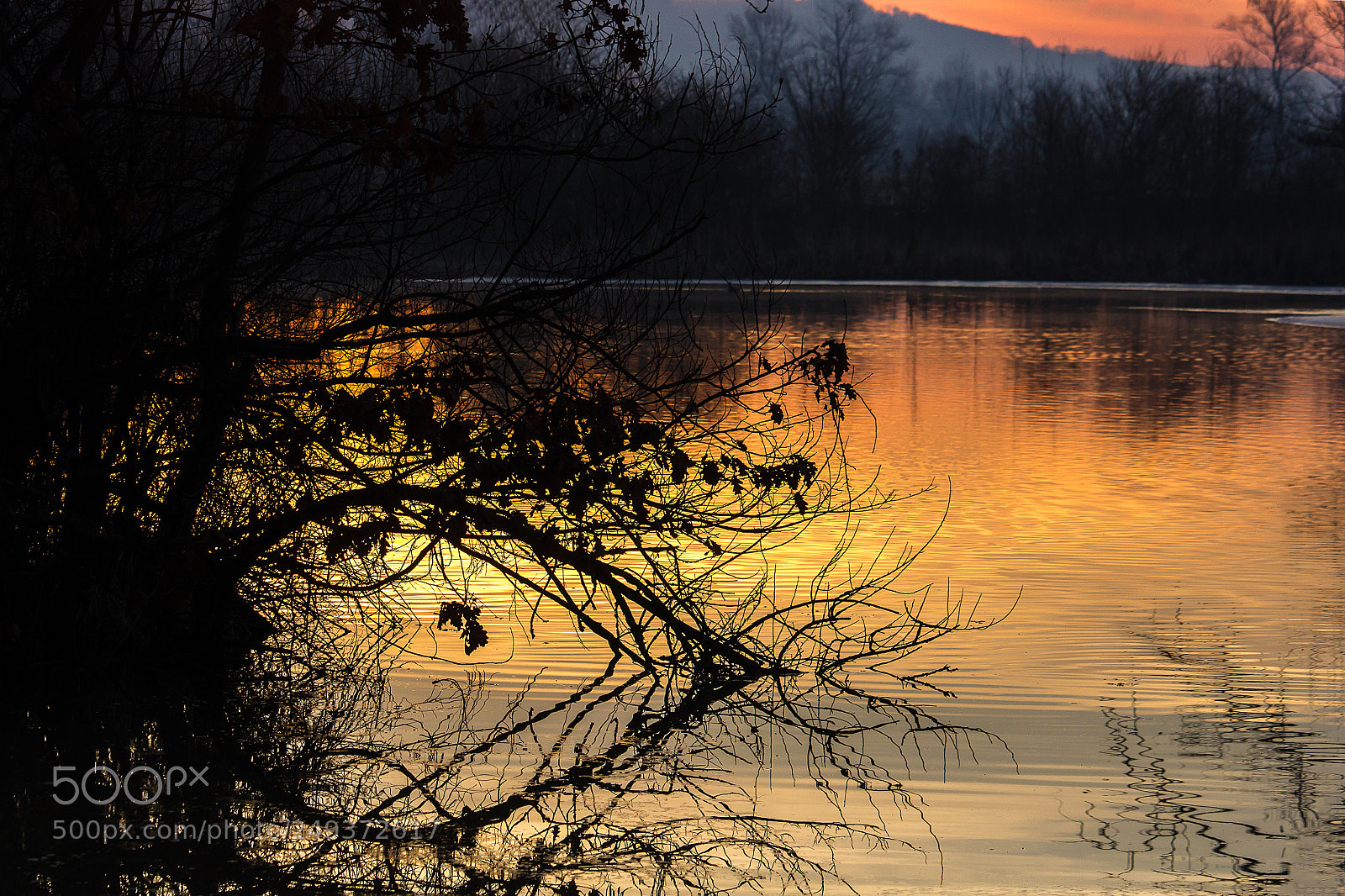 Canon EOS 60D sample photo. Broken hand photography