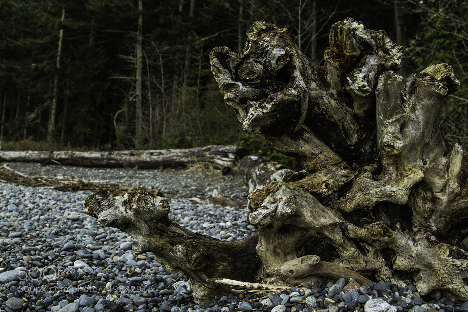 Canon EOS 80D sample photo. Deception pass 04 photography