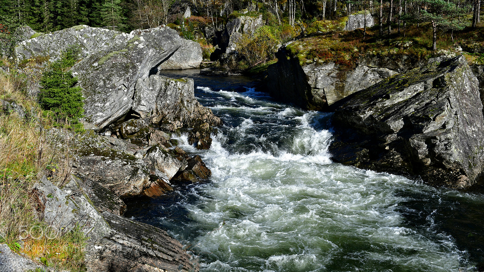 Nikon D500 sample photo. The river photography