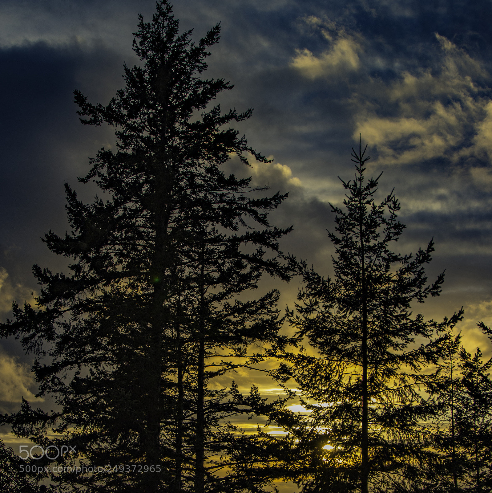 Canon EOS 80D sample photo. Deception pass 07 photography