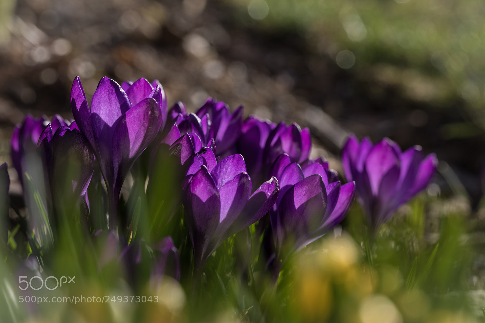 Canon EOS 5D Mark IV sample photo. Untitled photography