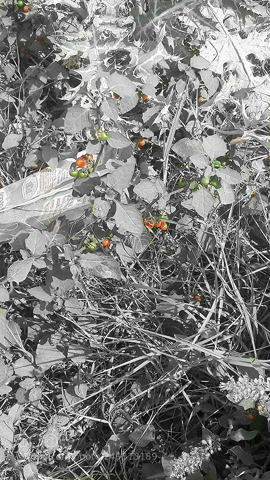 Samsung Galaxy J7 sample photo. Untitled photography