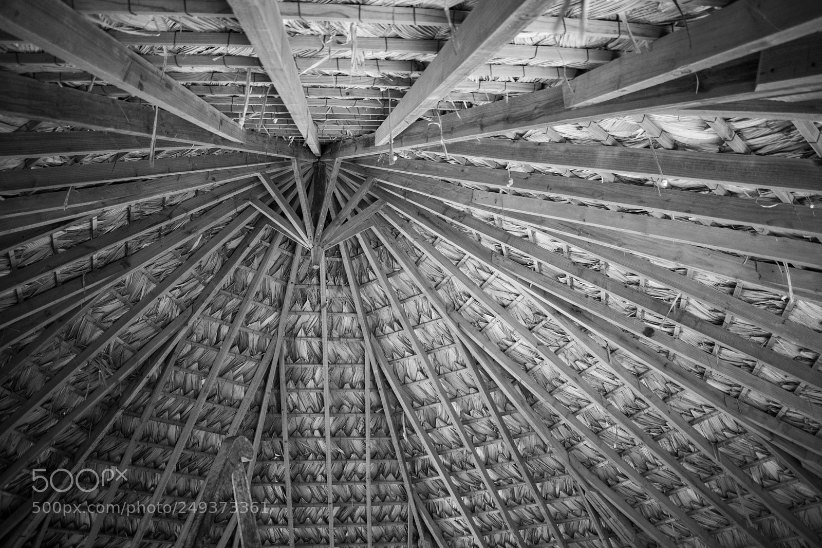 Nikon D5300 sample photo. Traditional structure roof photography