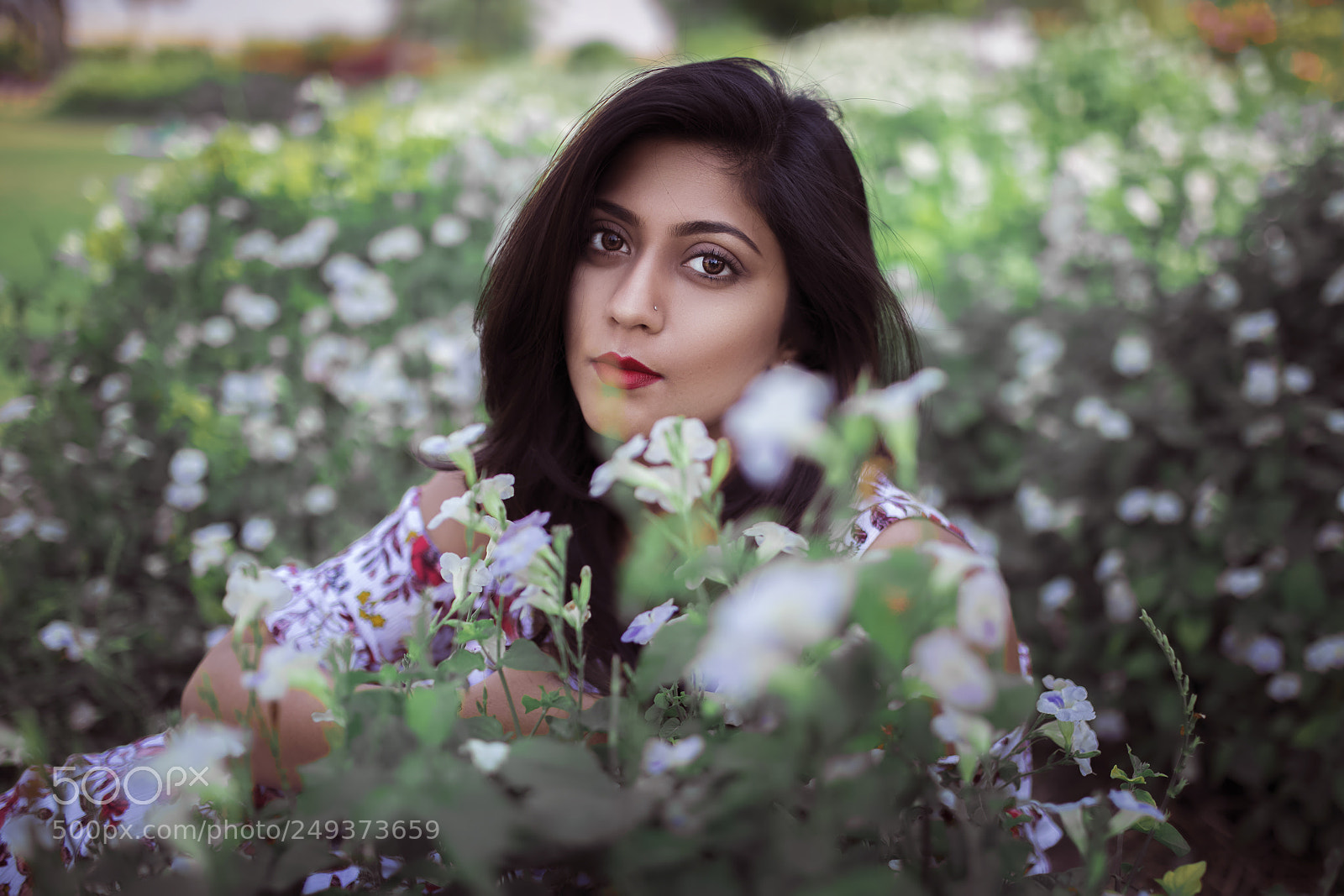 Canon EOS 5D Mark IV sample photo. Img photography