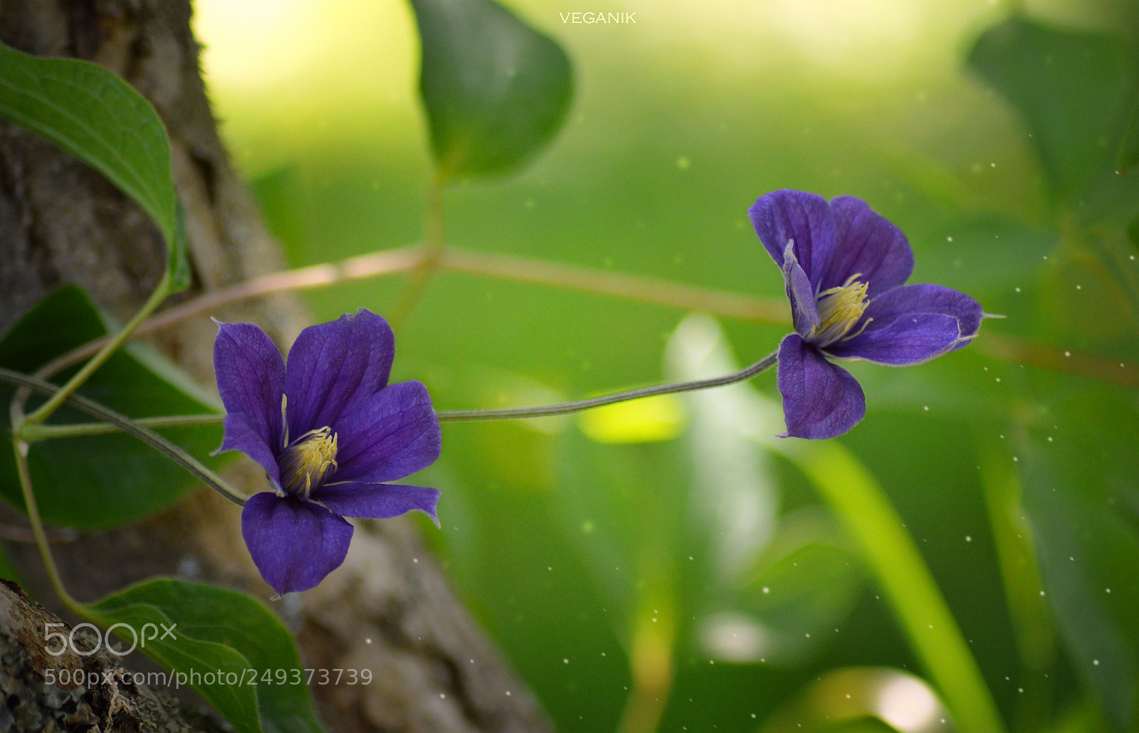 Nikon D3200 sample photo. .... photography