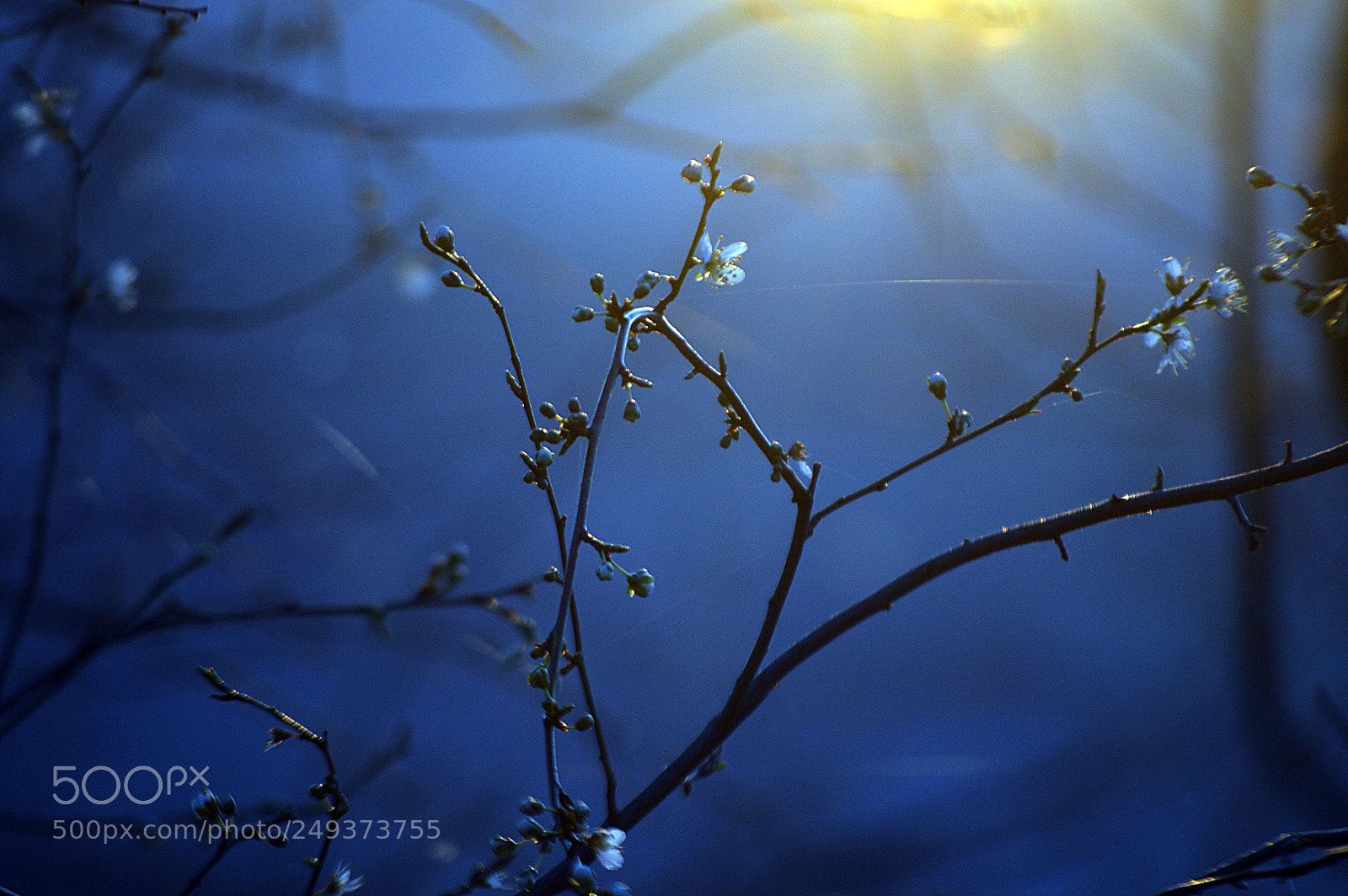 Nikon D3200 sample photo. Light photography