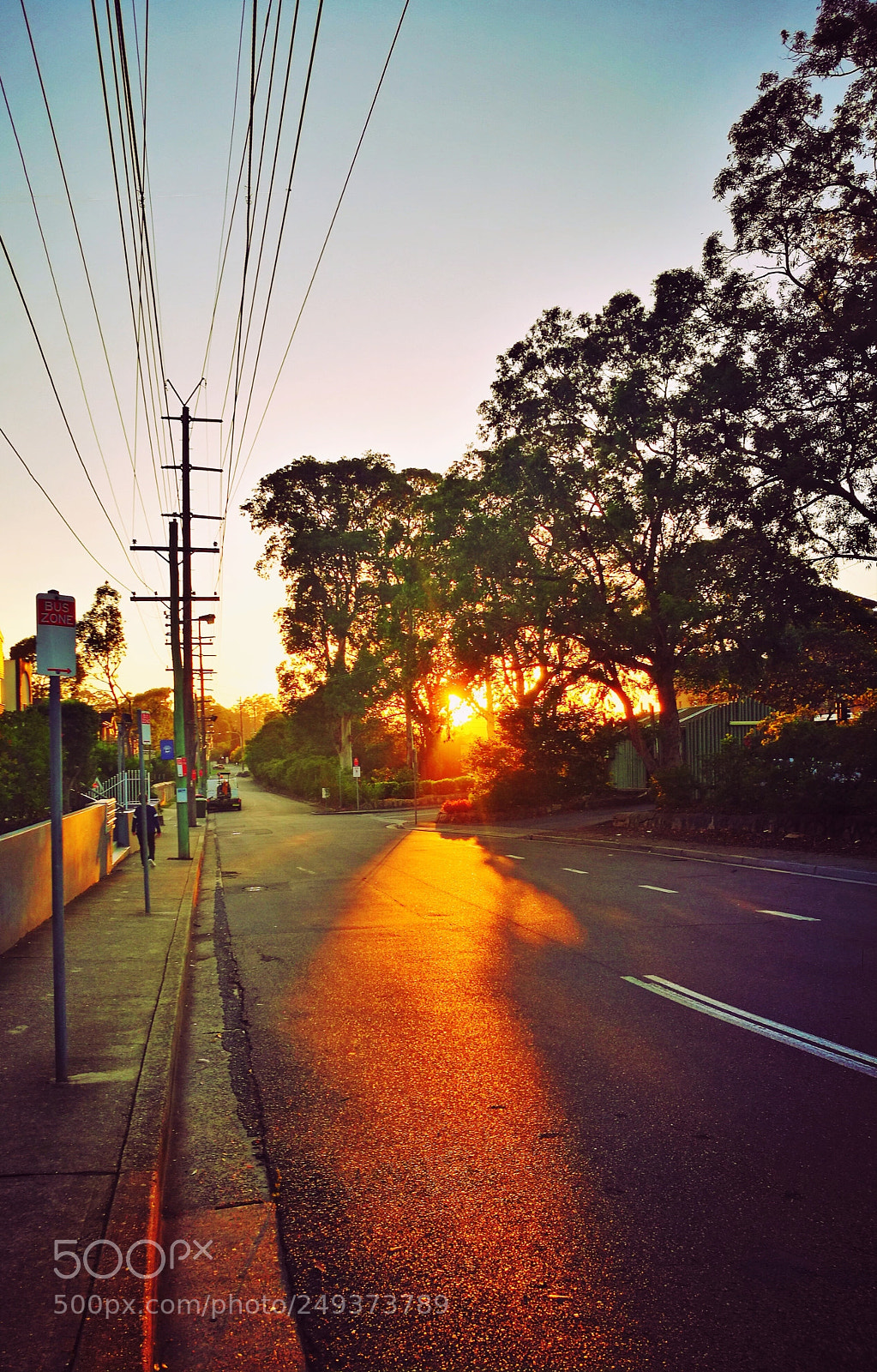 HUAWEI P9 sample photo. Morning carlingford, sydney photography