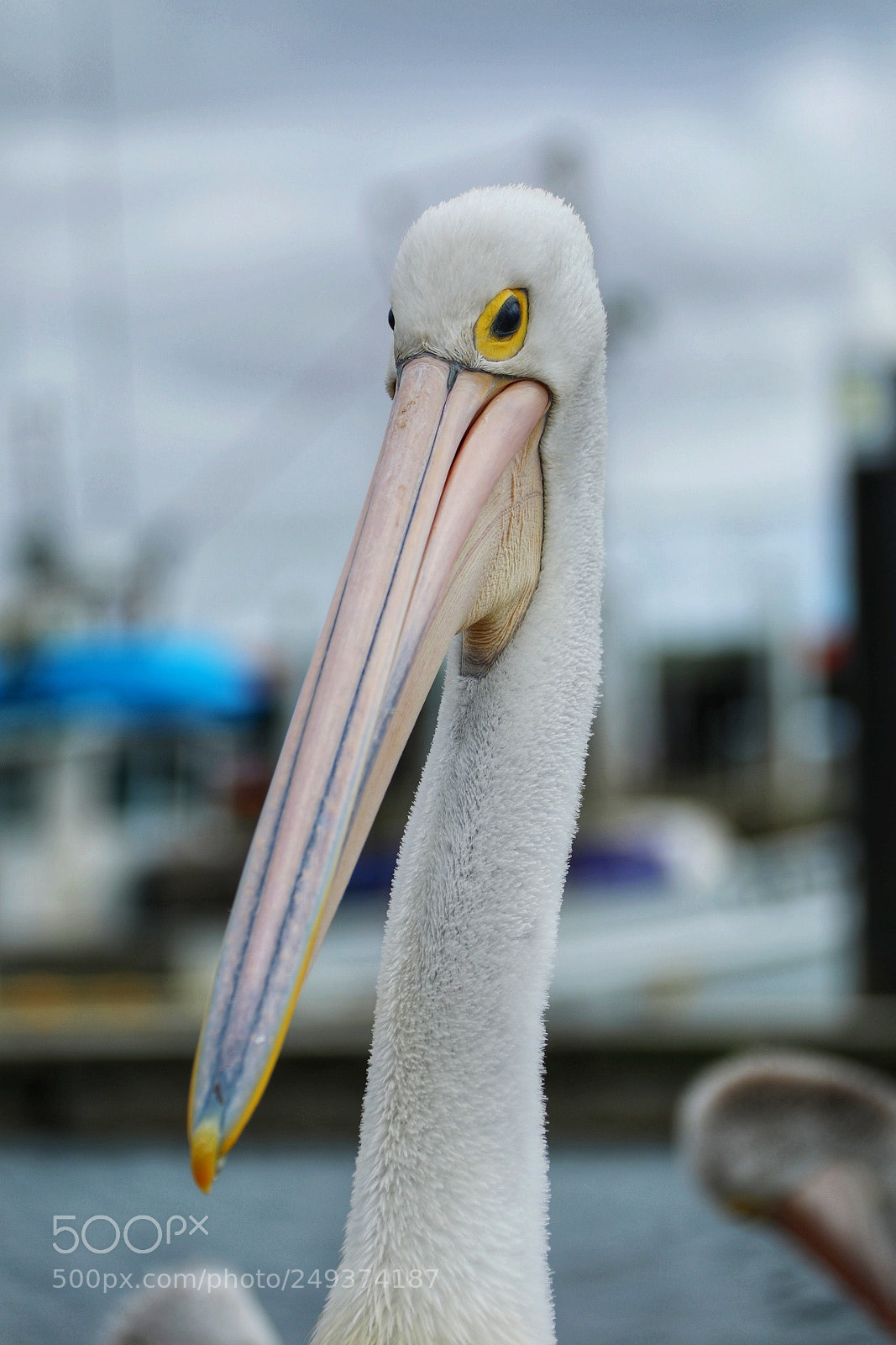 Canon EOS 5D Mark IV sample photo. Untitled photography