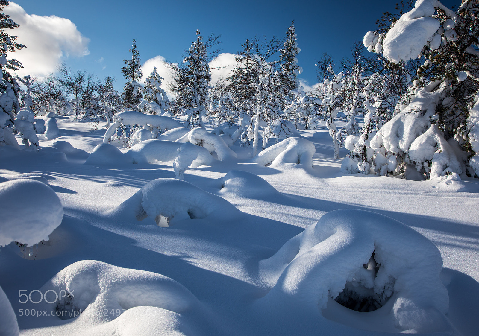 Canon EOS 5D Mark IV sample photo. Snowy blanket photography