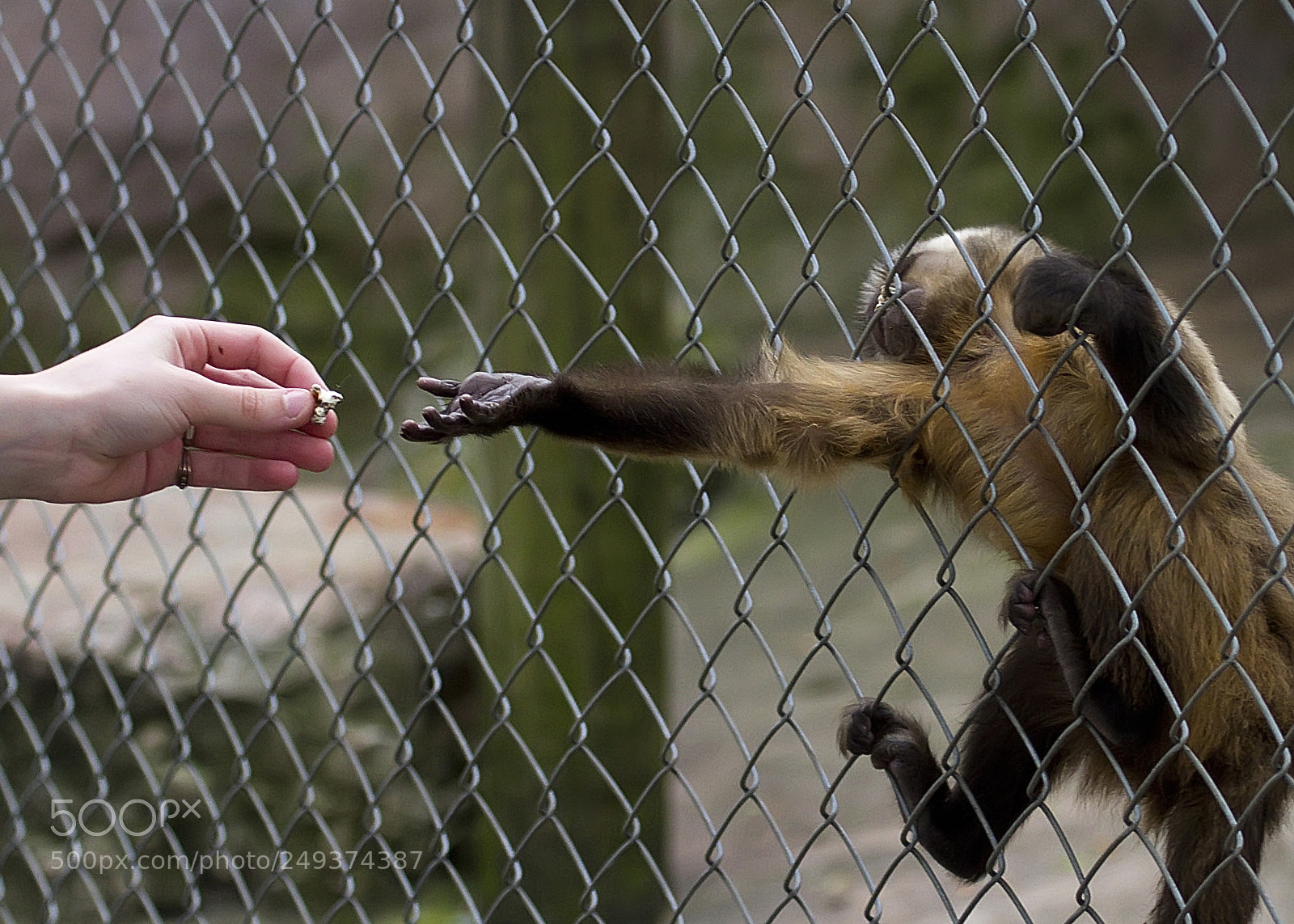 Canon EOS 7D sample photo. S'il te plait ! photography