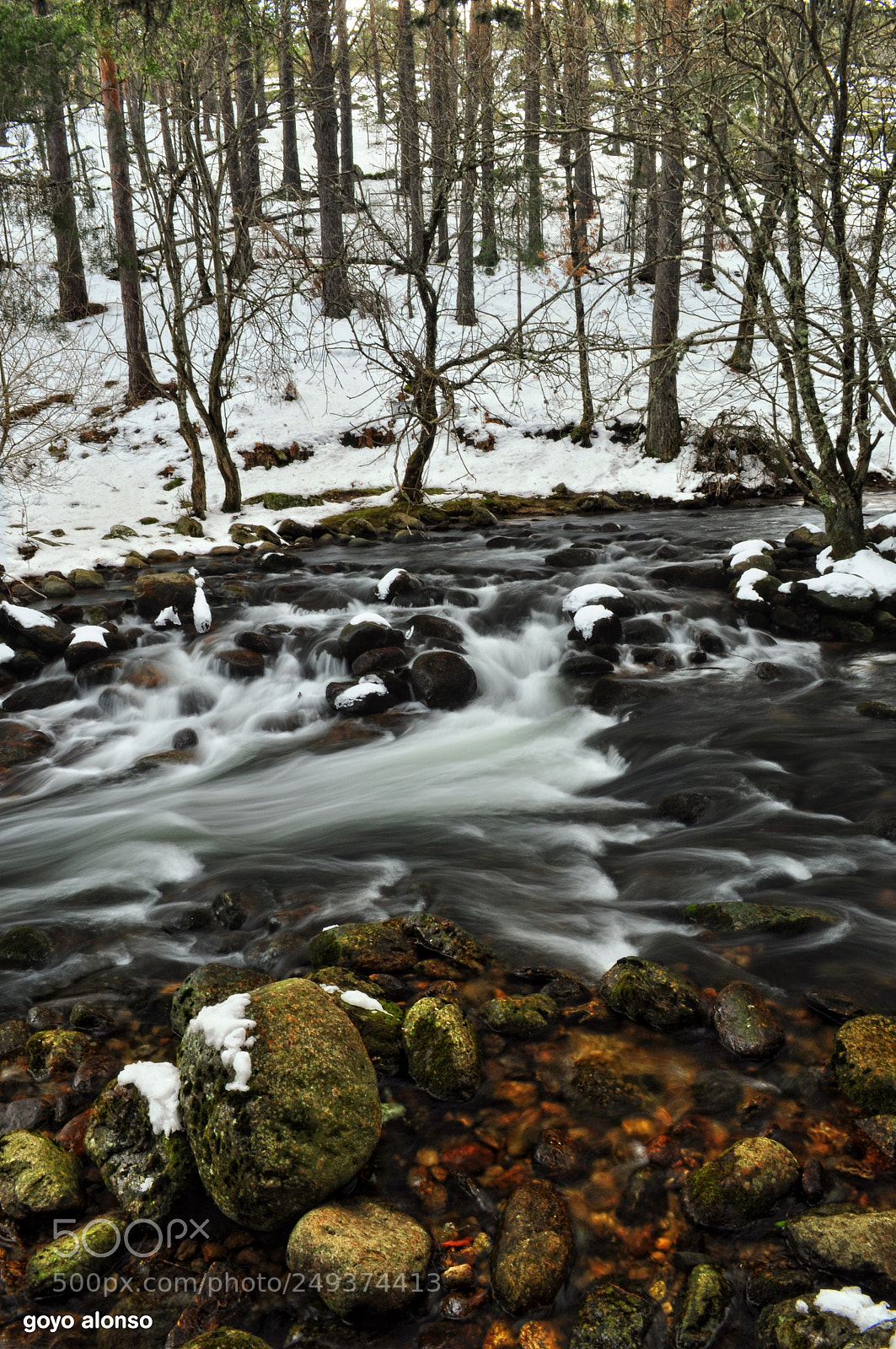 Nikon D5000 sample photo. Invernal photography