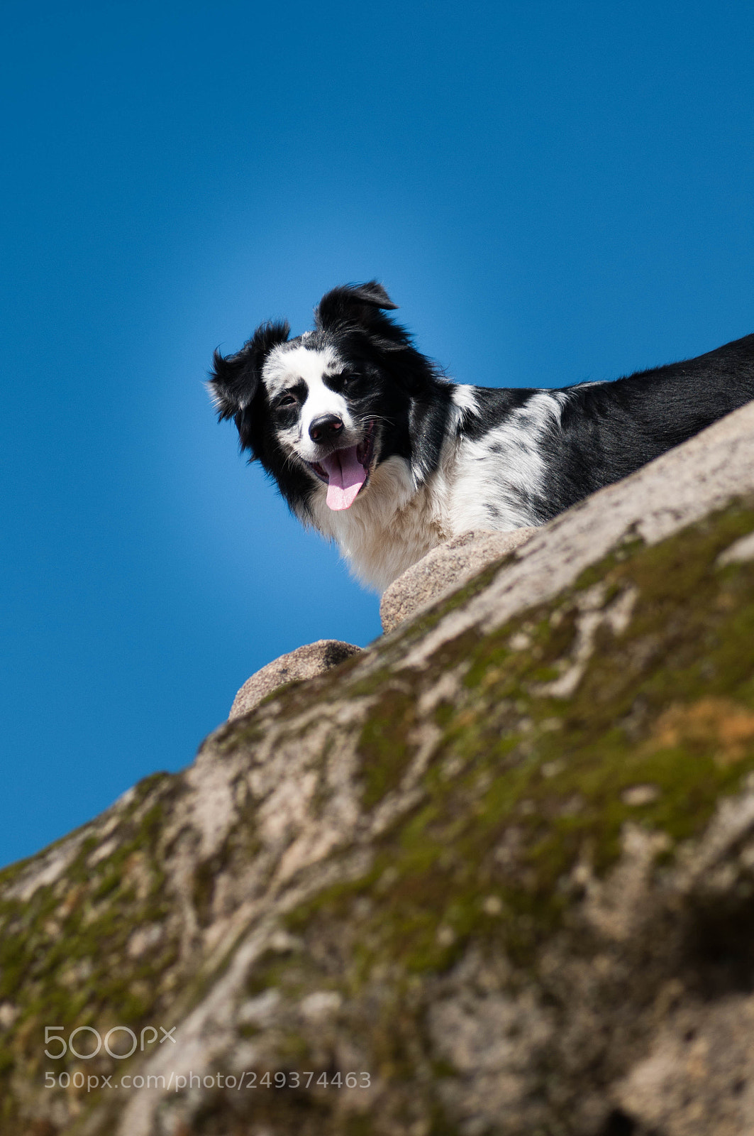 Nikon D300S sample photo. Spring is coming photography