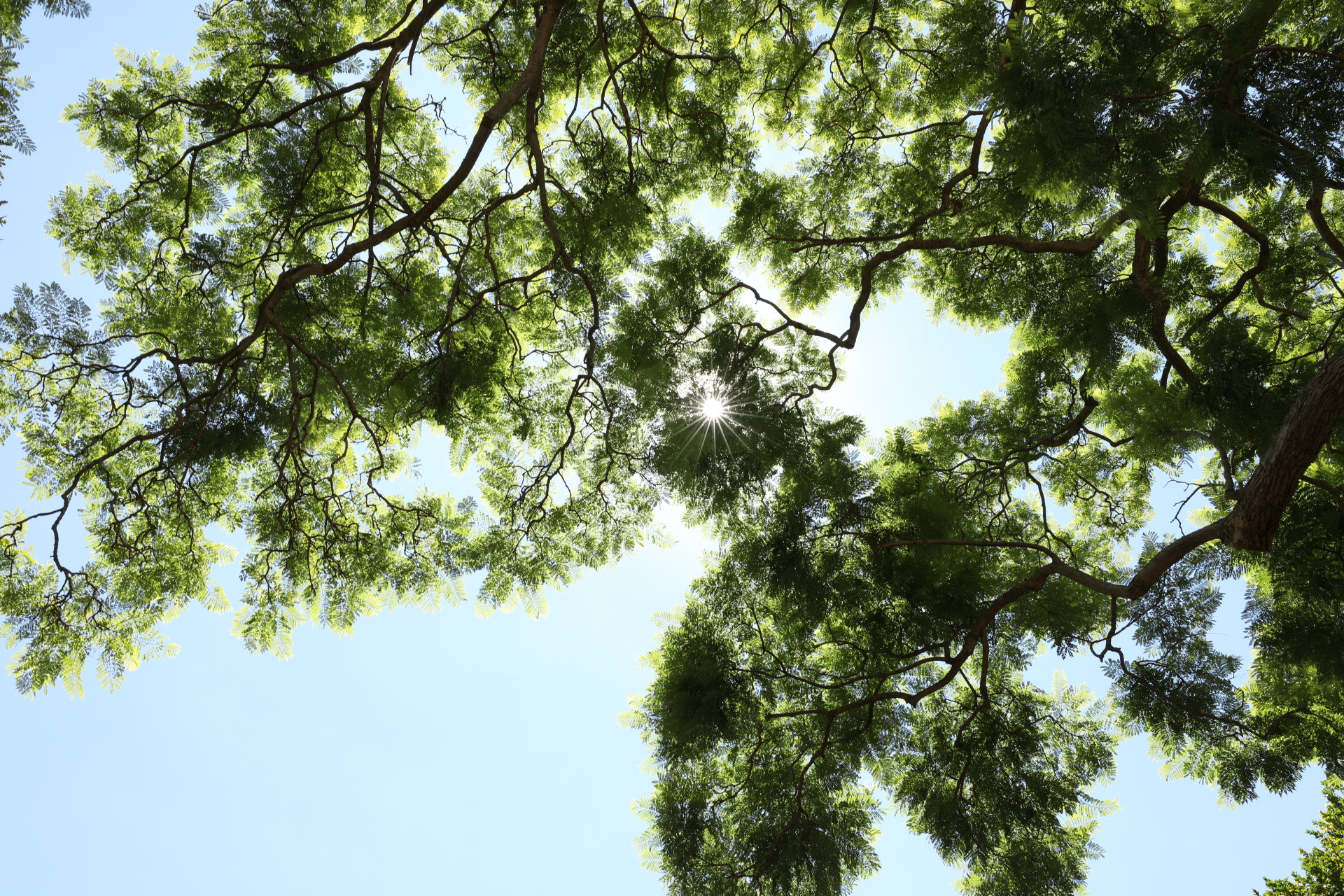Canon EF 16-35mm F2.8L III USM sample photo