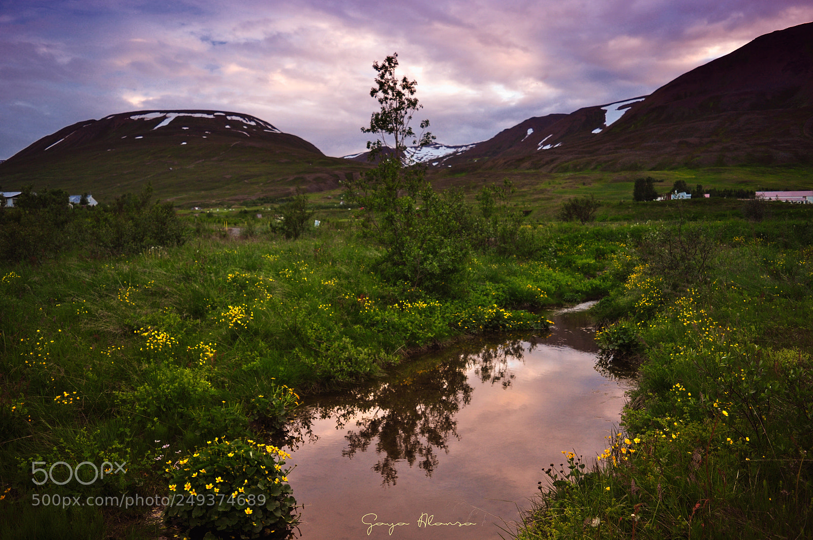 Nikon D5000 sample photo. La charca photography