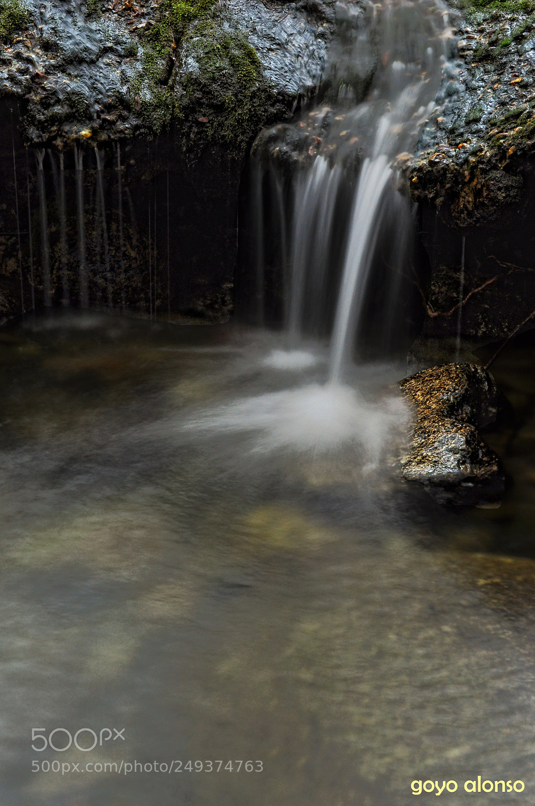 Nikon D5000 sample photo. Salto photography