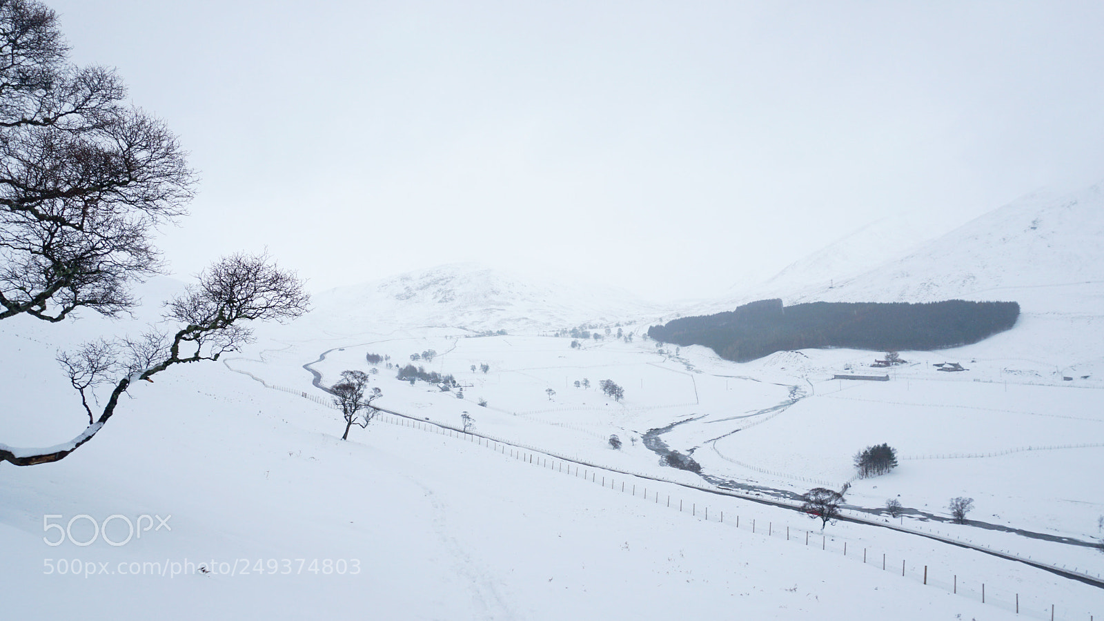 Sony a6300 sample photo. White out photography