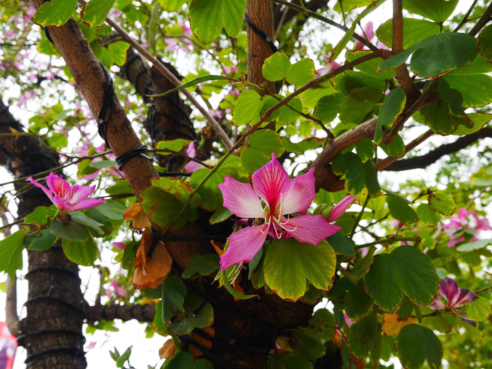 Panasonic Lumix DMC-GF7 sample photo