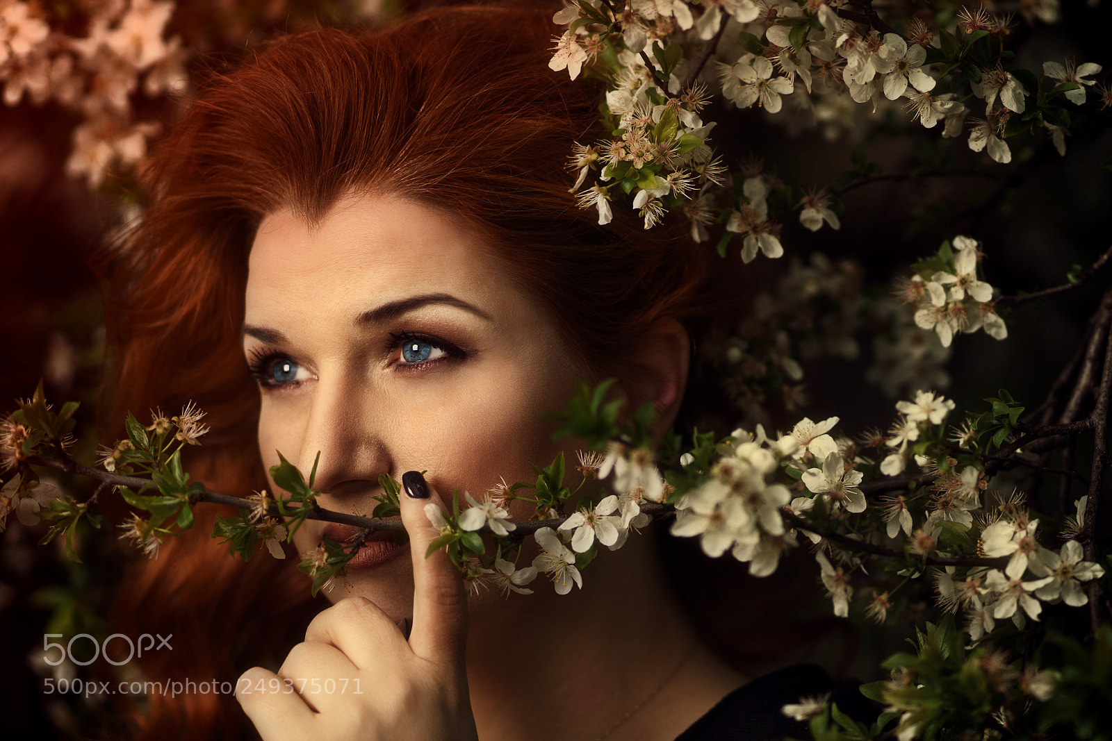 Sony a7R II sample photo. Spring photography