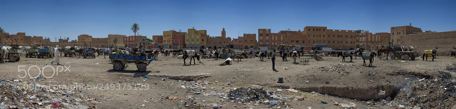 Nikon D610 sample photo. Risani market. photography