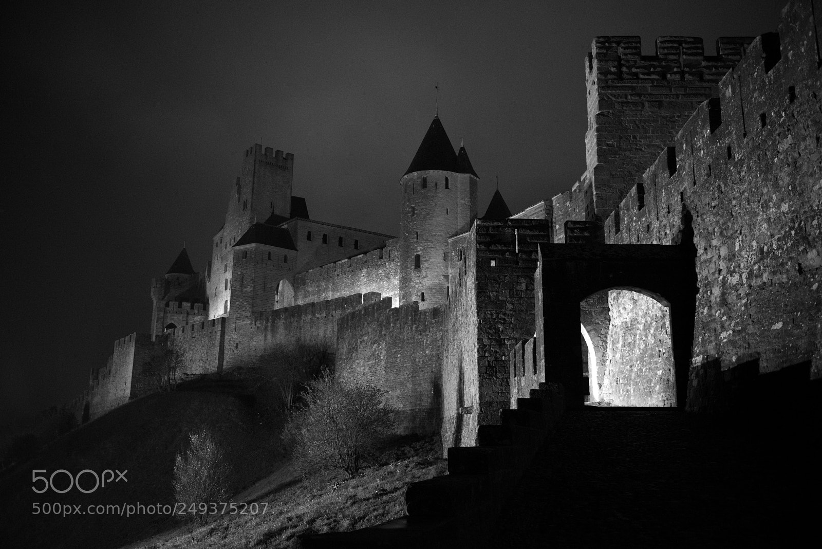 Nikon D800 sample photo. Carcassonne photography