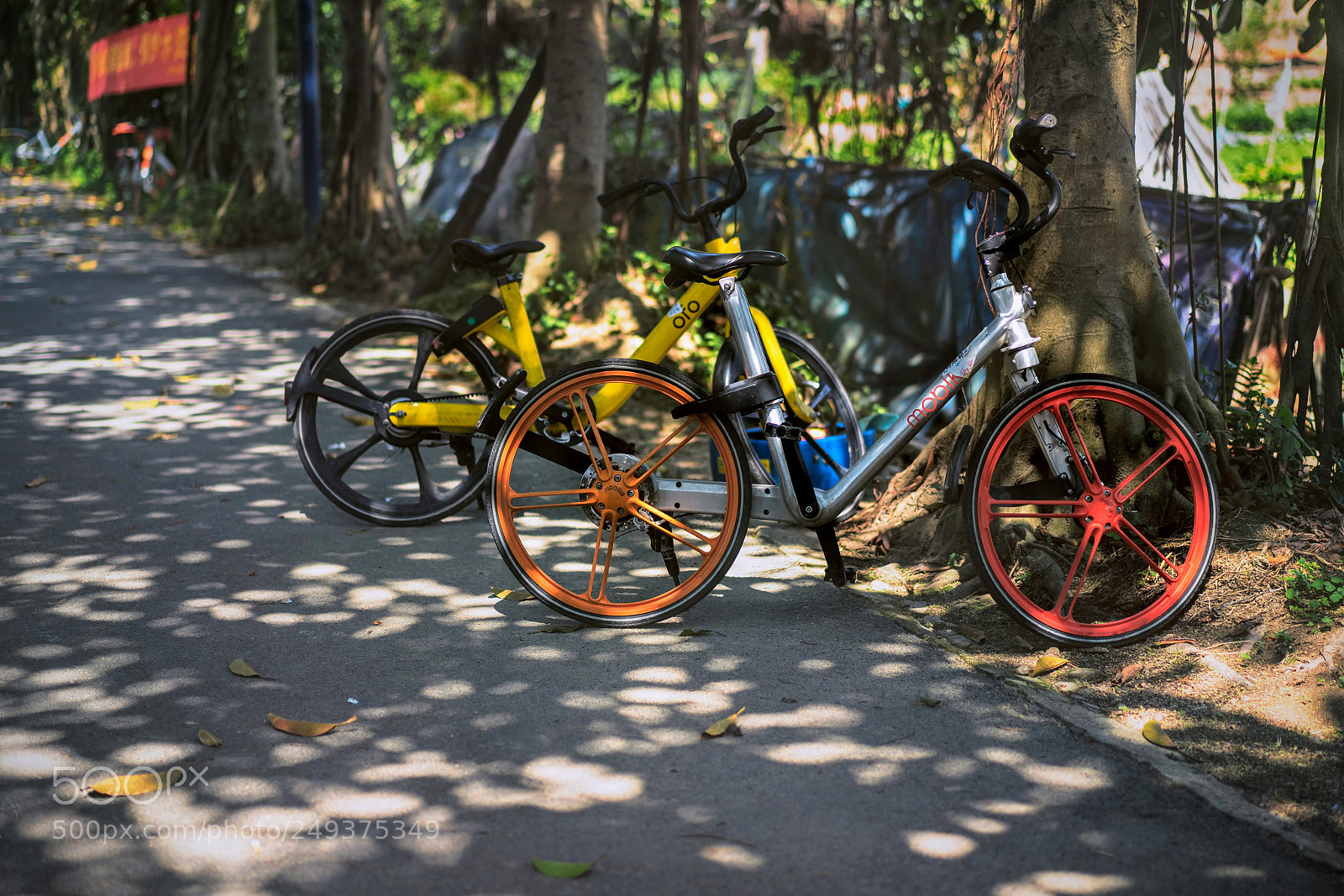 Sony a7 sample photo. 乐在其中 photography