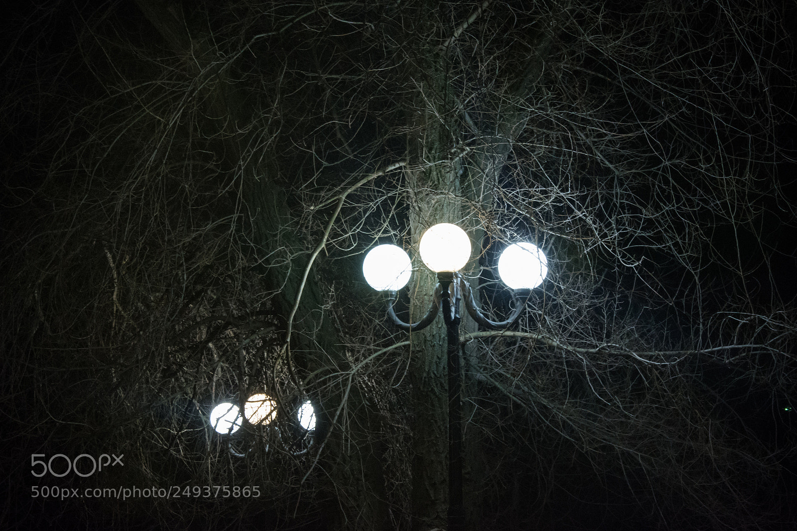 Nikon D5200 sample photo. Streetlight photography