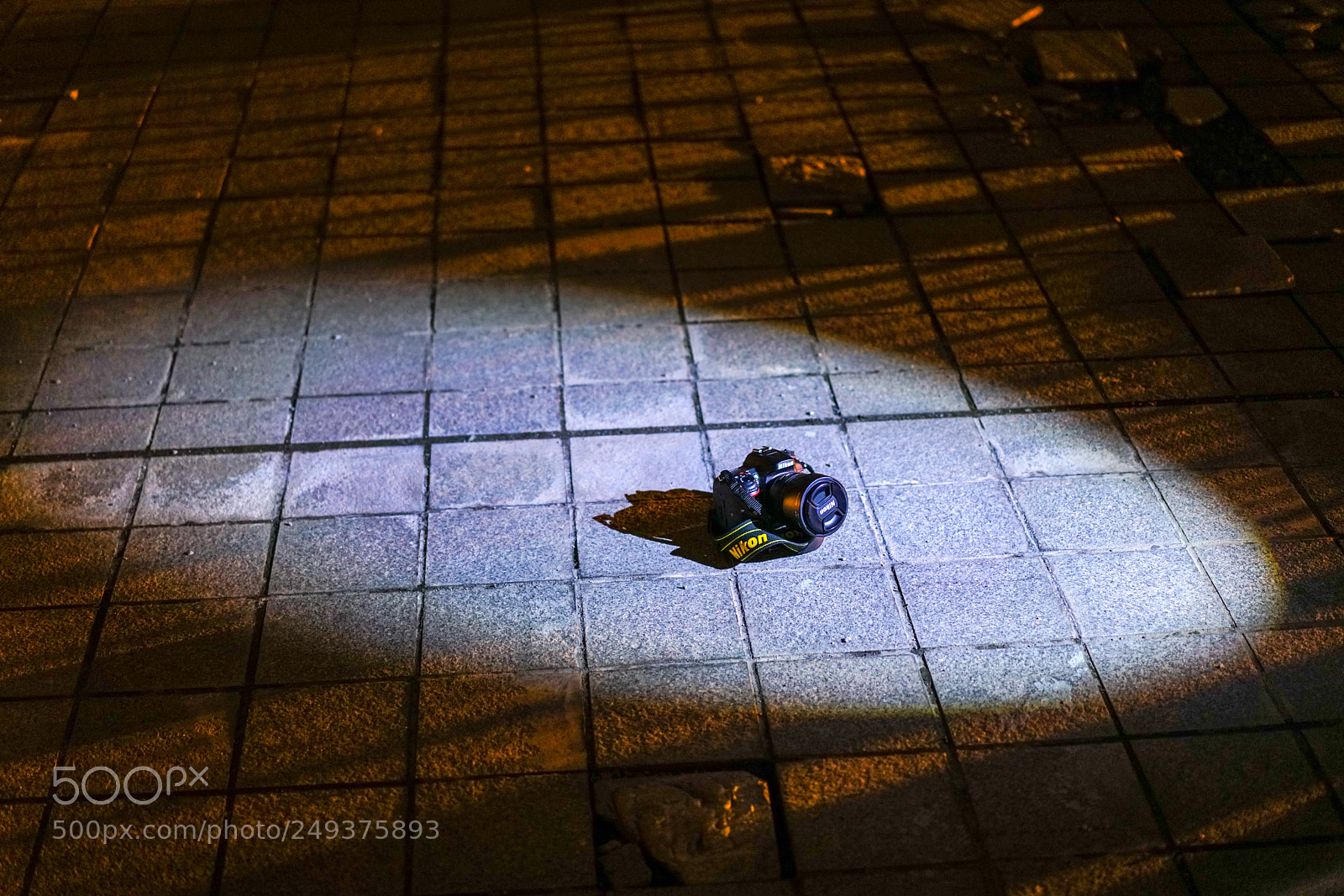 Sony a7R II sample photo. Protagonist photography