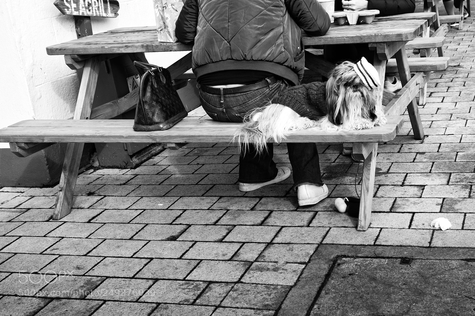 Leica M (Typ 240) sample photo. Fashion victim photography