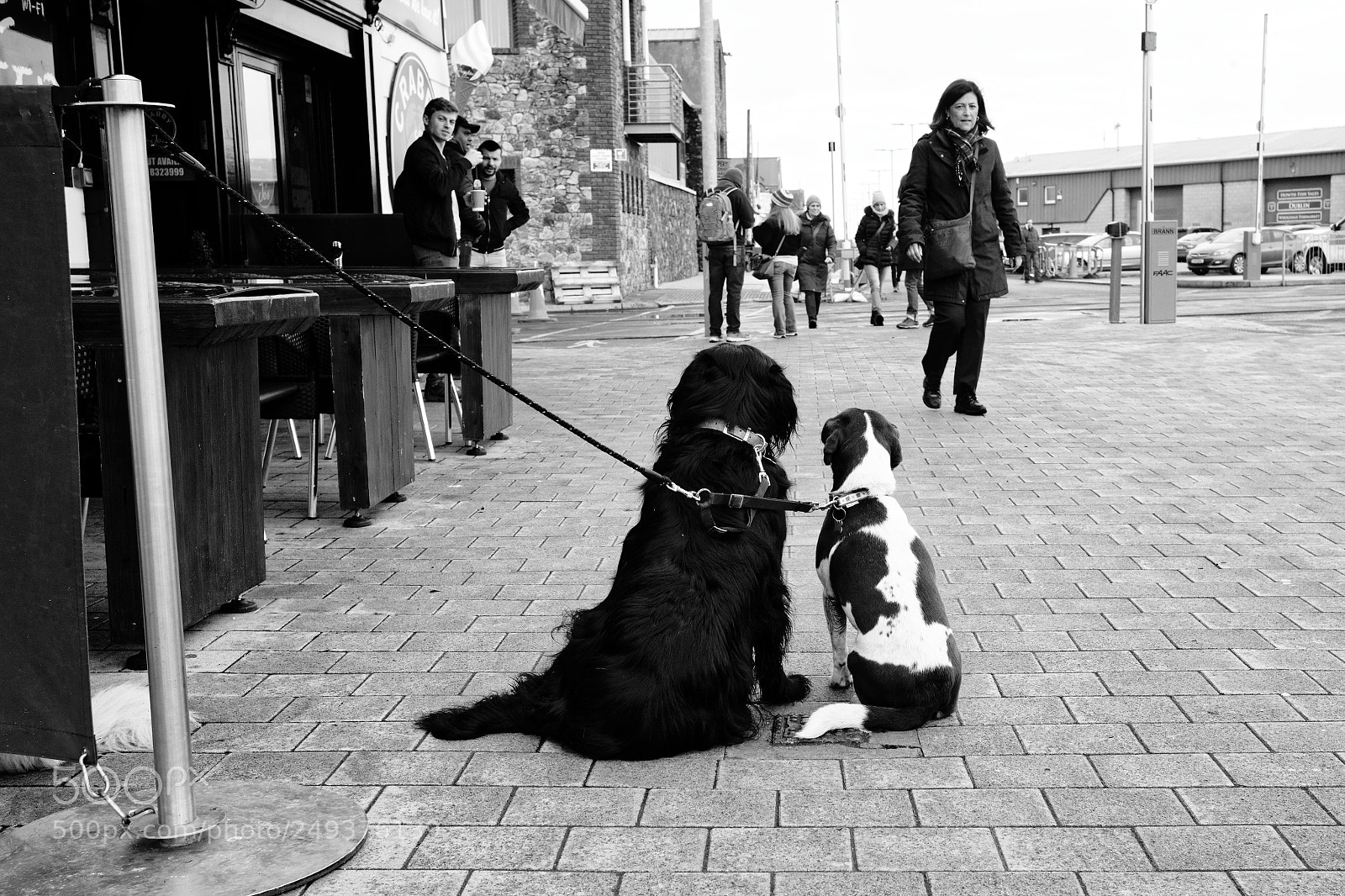 Leica M (Typ 240) sample photo. Waiting photography
