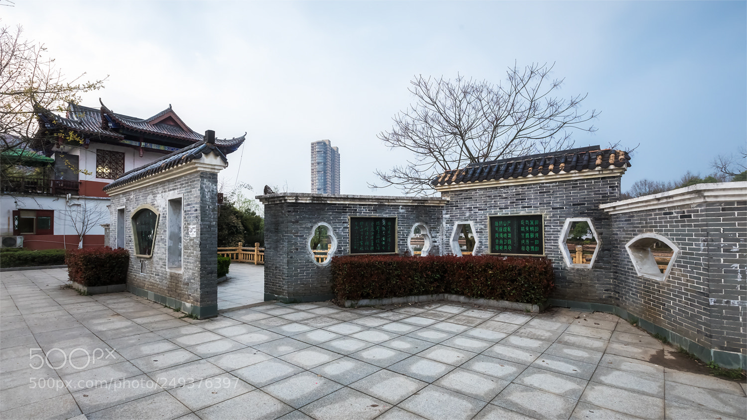 Canon EOS 5D Mark IV sample photo. Untitled photography